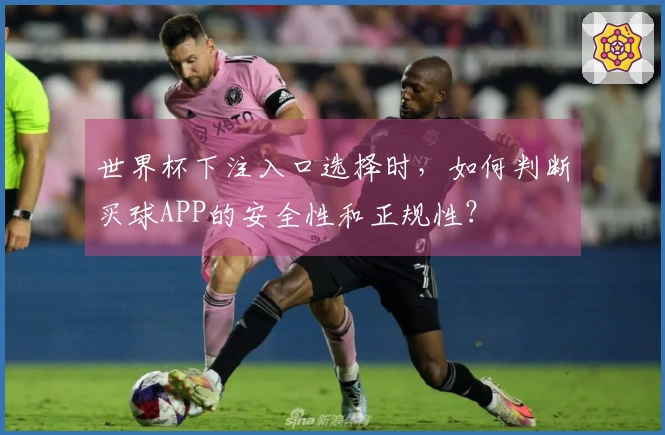 世界杯下注入口选择时，如何判断买球APP的安全性和正规性？