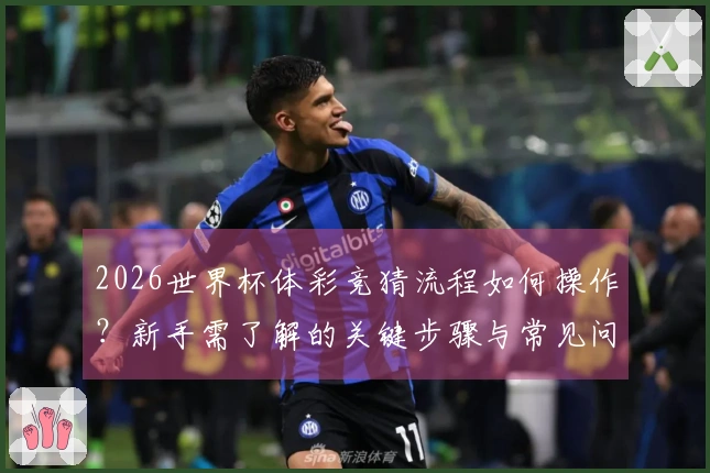 2026世界杯体彩竞猜流程如何操作?新手需了解的关键步骤与常见问题